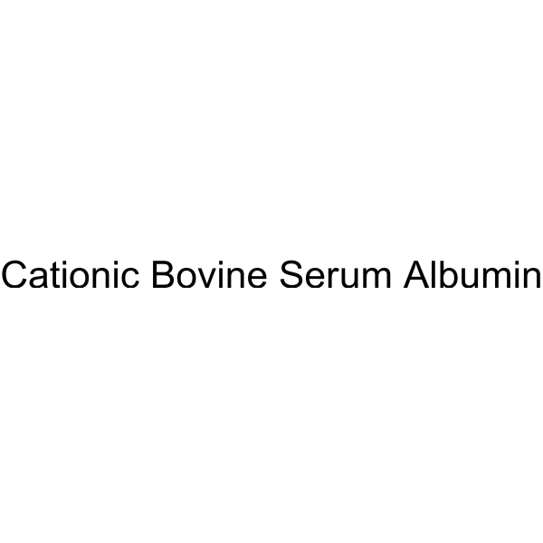 Cationic Bovine Serum Albumin (cBSA, chemically modified cationic bovine serum albumin)